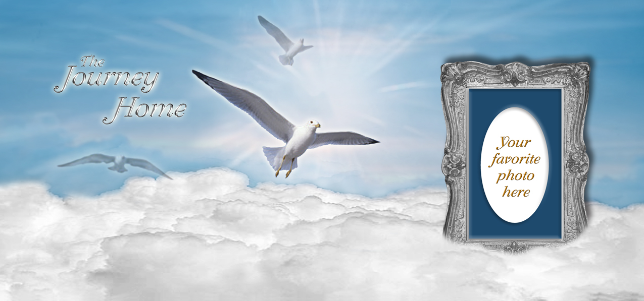 Journey Home Clouds Birds Blue